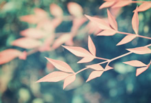 开云体育直播-亚眠客场战胜雷恩，豪取三分