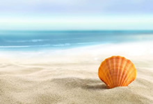 开云体育修改登录密码-格拉纳达取得重要胜利，冲击联赛前列