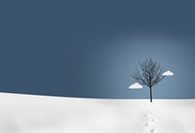 开云体育注册app-云达不列颠球队疲态尽显需休养