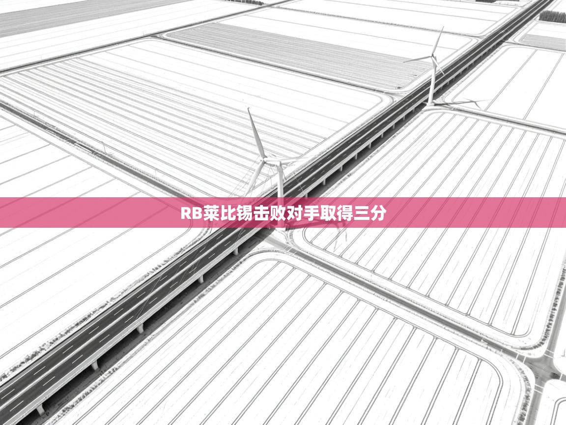 开云体育入口平台-RB莱比锡击败对手取得三分  第2张