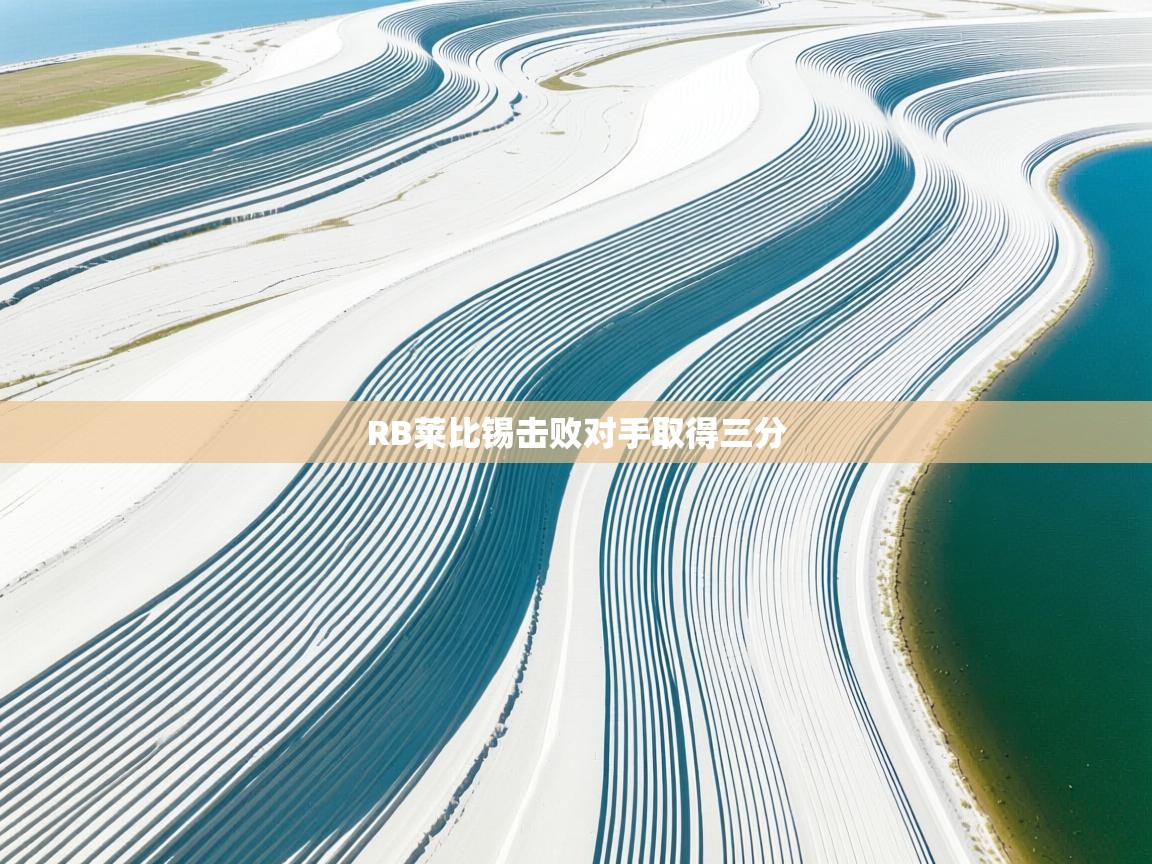 开云体育入口平台-RB莱比锡击败对手取得三分  第3张