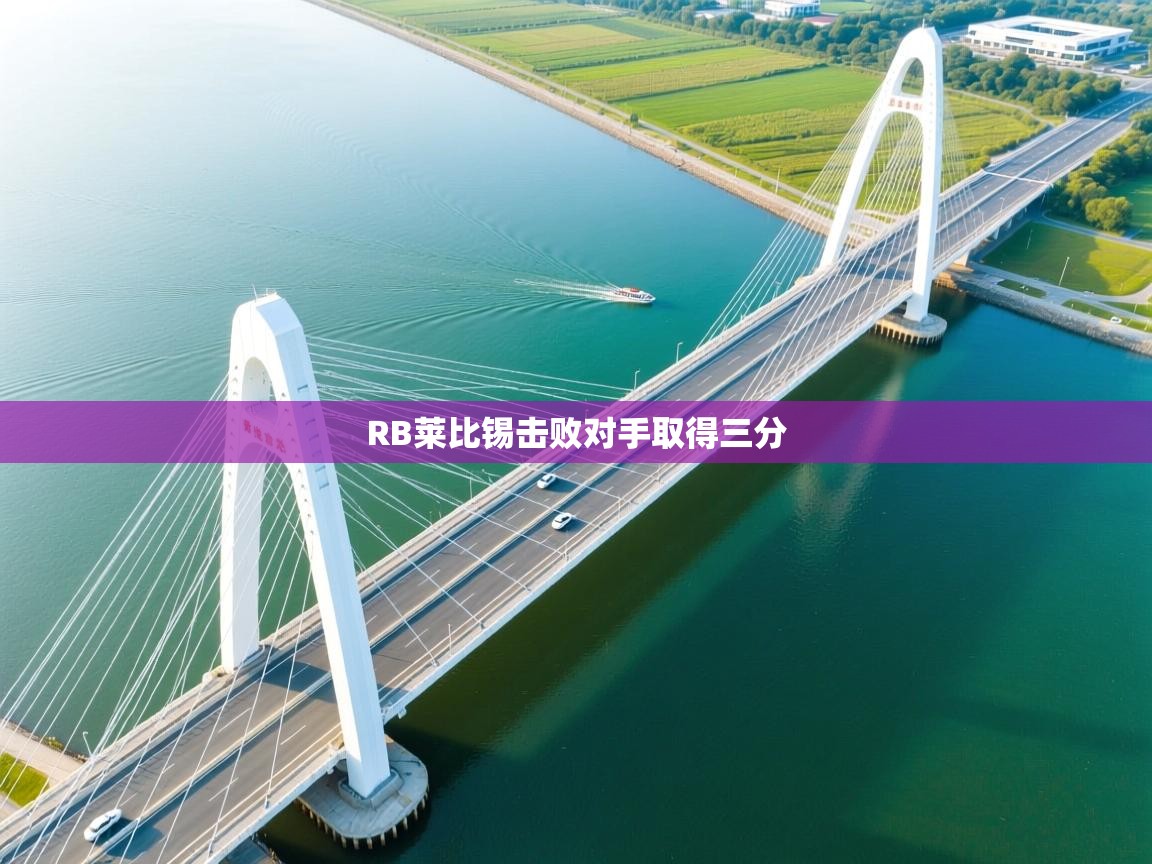 开云体育入口平台-RB莱比锡击败对手取得三分  第4张