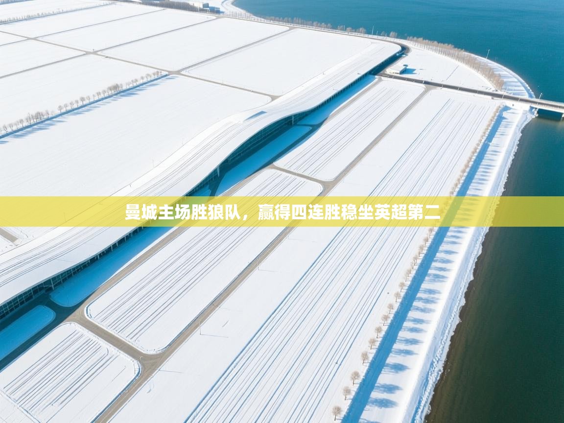 开云体育app官网网页登录入口-曼城主场胜狼队,赢得四连胜稳坐英超第二  第2张