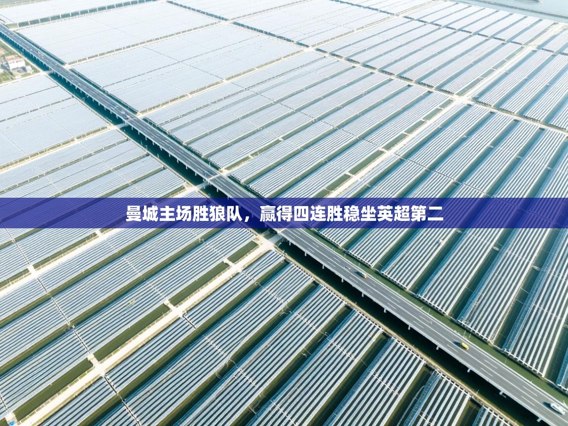 开云体育app官网网页登录入口-曼城主场胜狼队,赢得四连胜稳坐英超第二  第4张