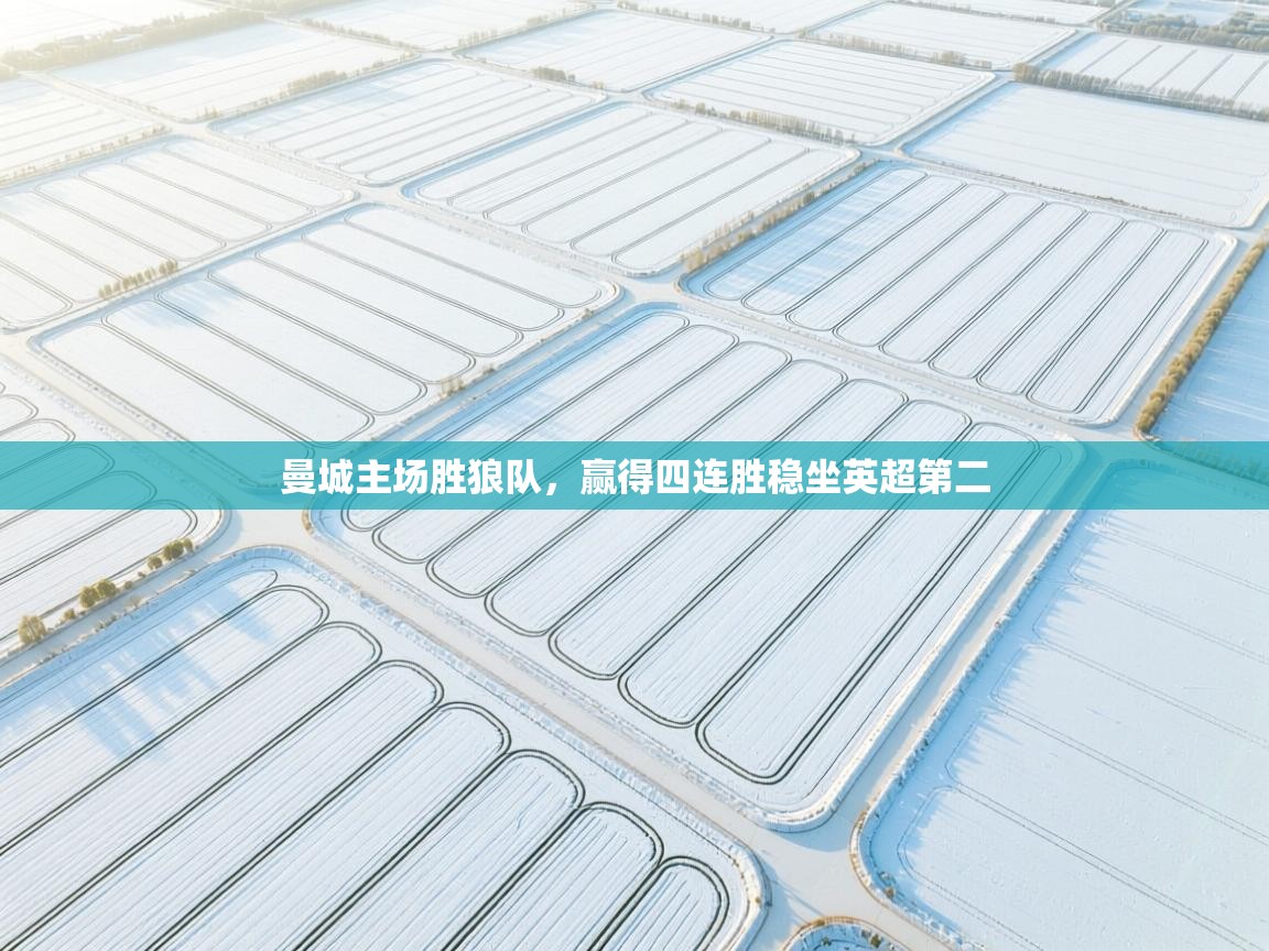 开云体育app官网网页登录入口-曼城主场胜狼队,赢得四连胜稳坐英超第二  第3张
