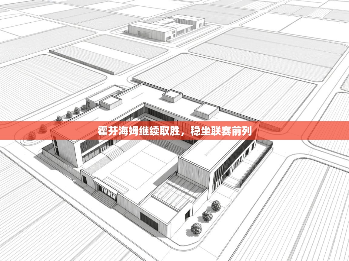 开云平台-霍芬海姆继续取胜，稳坐联赛前列  第3张