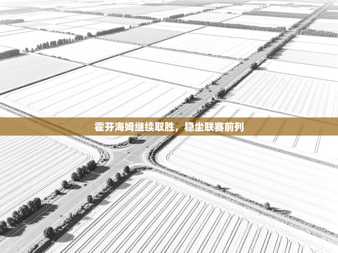 开云平台-霍芬海姆继续取胜，稳坐联赛前列  第4张