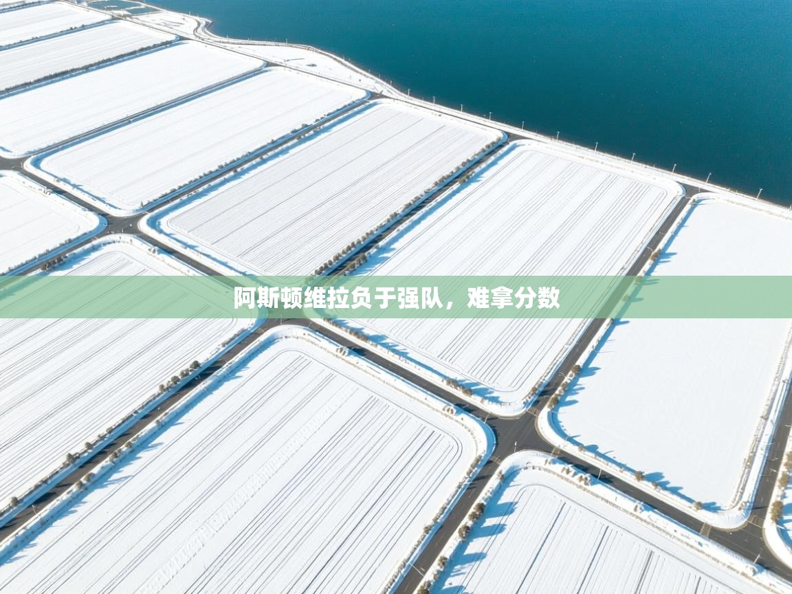 开云体育数据中心统计-阿斯顿维拉负于强队，难拿分数  第2张