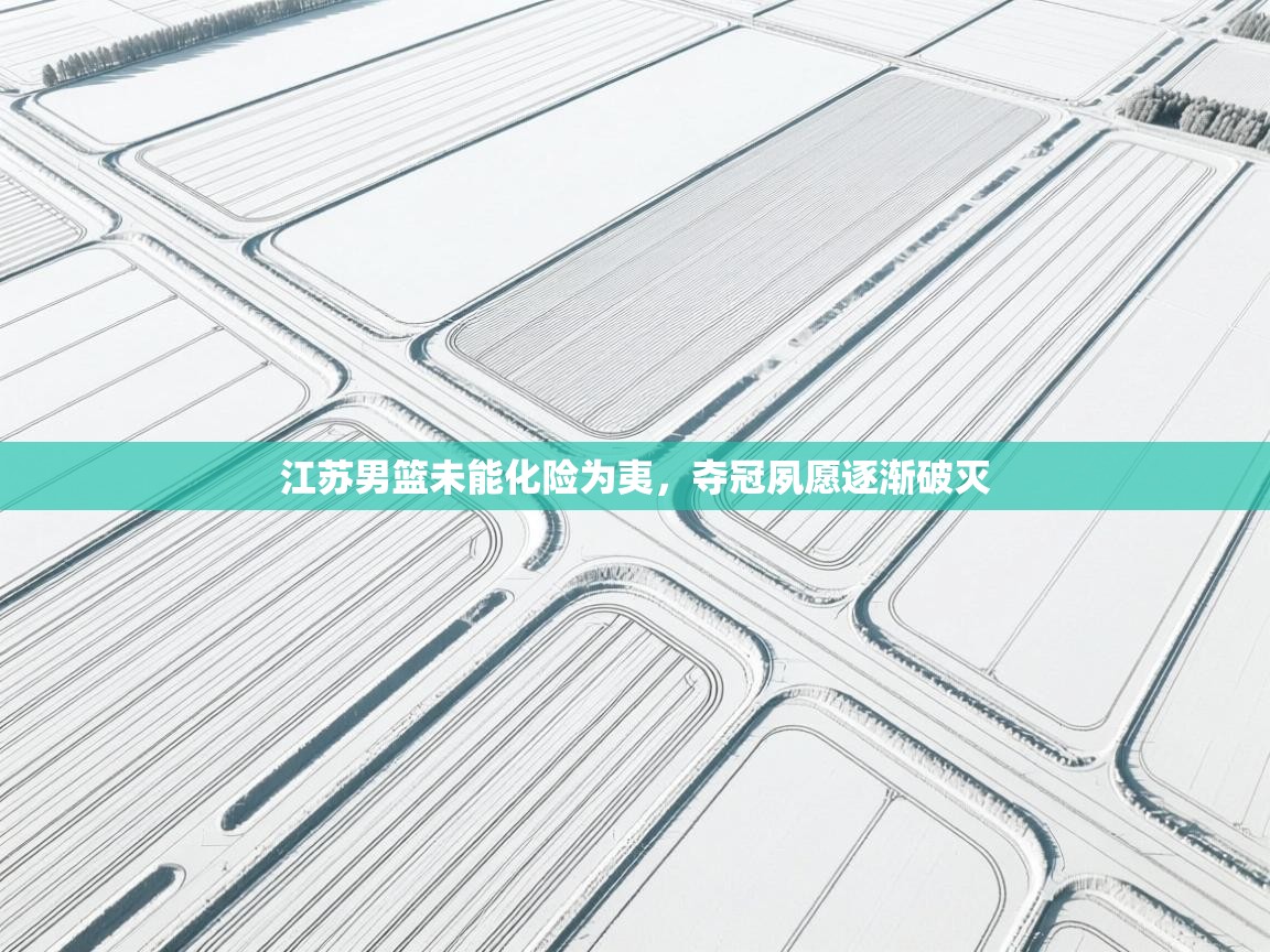 开云数据-江苏男篮未能化险为夷，夺冠夙愿逐渐破灭  第1张