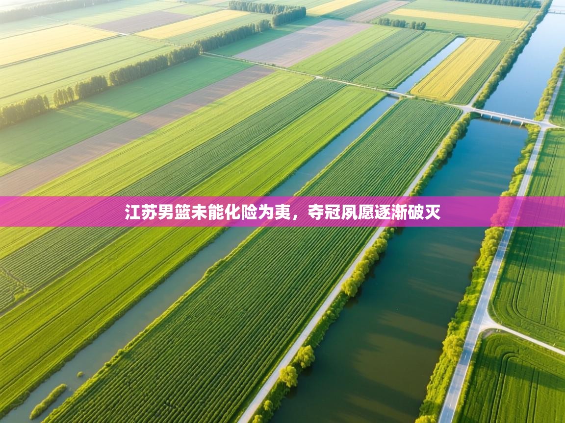 开云数据-江苏男篮未能化险为夷，夺冠夙愿逐渐破灭  第4张