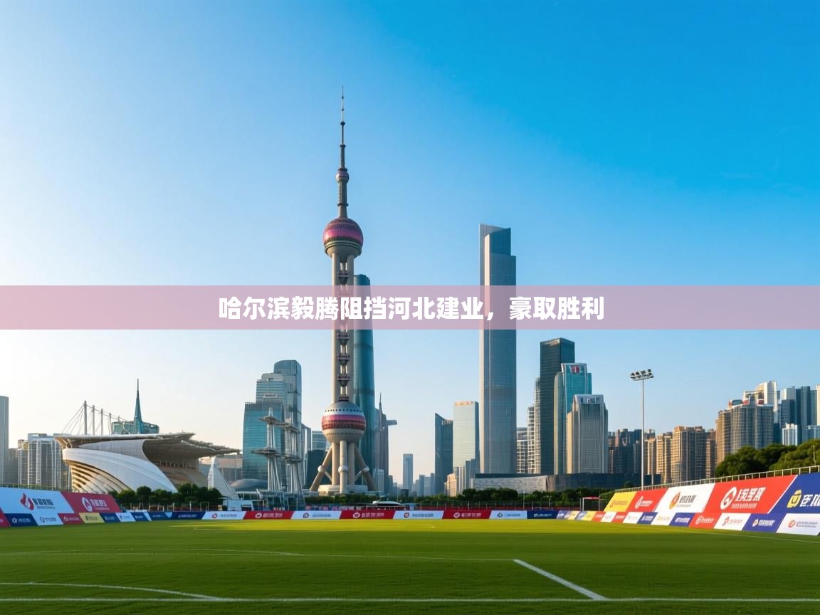 开云体育app-哈尔滨毅腾阻挡河北建业，豪取胜利