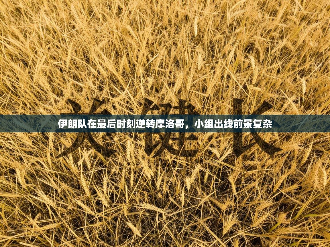云开体育入口-伊朗队在最后时刻逆转摩洛哥，小组出线前景复杂  第2张
