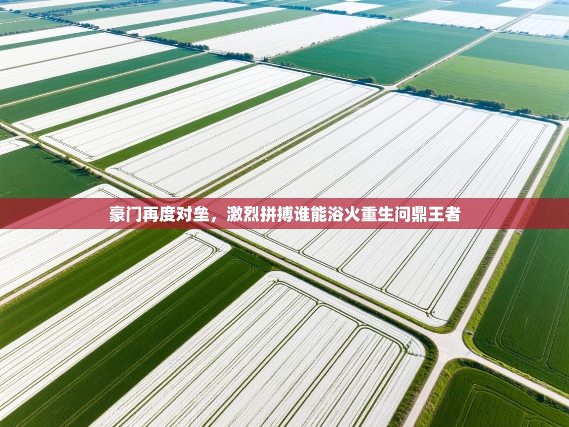 开云体育app下载入口-豪门再度对垒,激烈拼搏谁能浴火重生问鼎王者 第2张